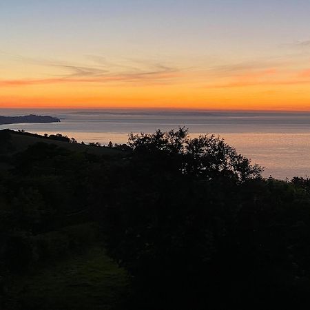 Cliff Lodge Torquay Luaran gambar